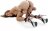 Бондаж из манжетов для рук и ног Heavy-Duty Hogtie Kit 