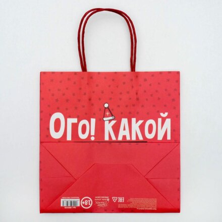 Подарочный пакет &quot;Ого! Какой подарок&quot; - 22 х 22 см. 