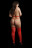 Пикантный комплект Jingle Glitter Nipple Stickers and Stockings: чулки и пэстисы 