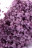 Соль для ванны  Bath Salts Aphrodisia с цветочным ароматом - 75 гр. 