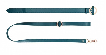 Зеленый ошейник с поводком Collar With Leash 