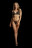 Великолепный комплект эротического белья Magic Lace Velvet Lingerie Set 