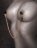 Чёрные с золотом зажимы на соски Gold Chain Nipple Clamps 