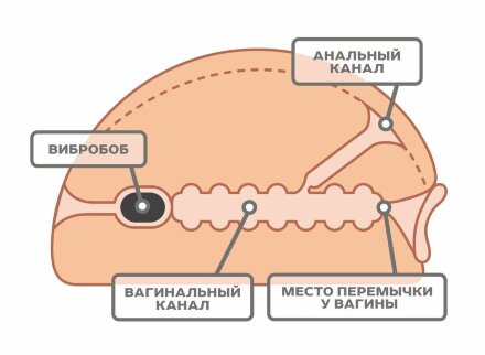Реалистичный мастурбатор-вагина из киберкожи с вибрацией 