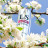 Спрей-стимулятор для женщин Lovespray Active Woman - 18 мл. 