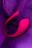 Розовое виброяйцо Lovense Lush 3 