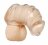 Насадка для ограничения эрекции Detained Soft Body Chastity Cage 