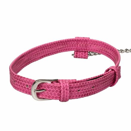Розовый ошейник с поводком Tickle Me Pink Collar With Leash 