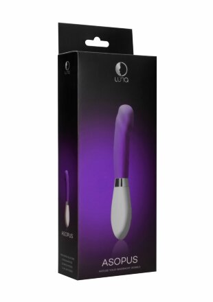 Фиолетовый вибратор Asopus - 21 см. 