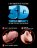 Телесный фаллоимитатор на присоске 8&quot; Triple Density Fat Cock with Balls  - 24,1 см. 