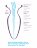 Прозрачный анальный плаг с туннелем Beginners Anal Gaper - 9,6 см. 