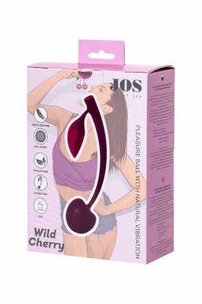Бордовая вагинальная вишенка WILD CHERRY - 13 см. 