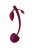 Бордовая вагинальная вишенка WILD CHERRY - 14,5 см. 
