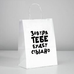 Подарочный пакет &quot;Завтра тебе будет стыдно&quot; - 30 х 24 см.